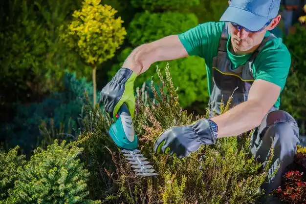 landscaping services South Russell